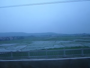 Rice paddies, probably around Hunan province